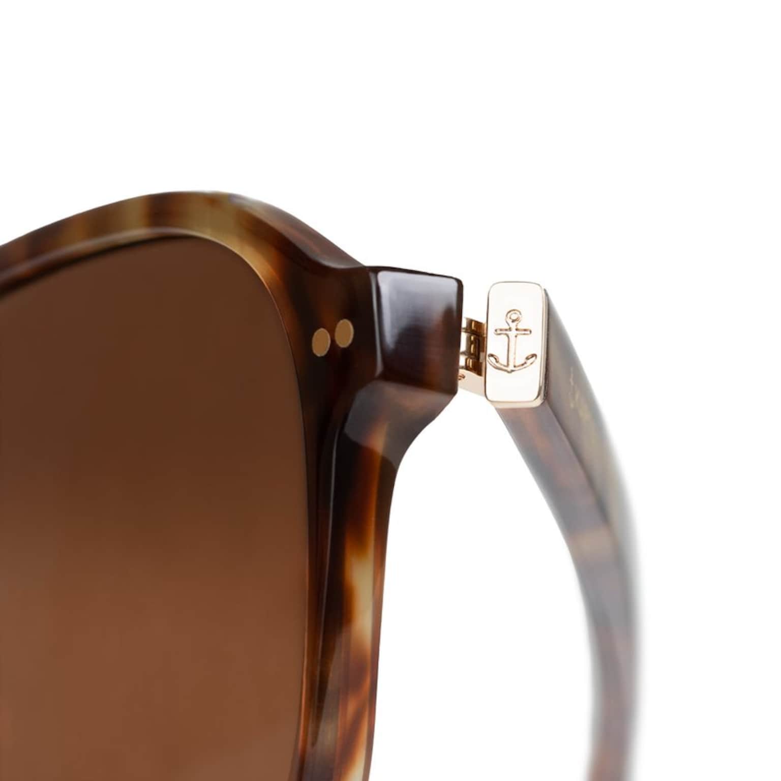 Zurich Oversize Havana Tortoise Brown